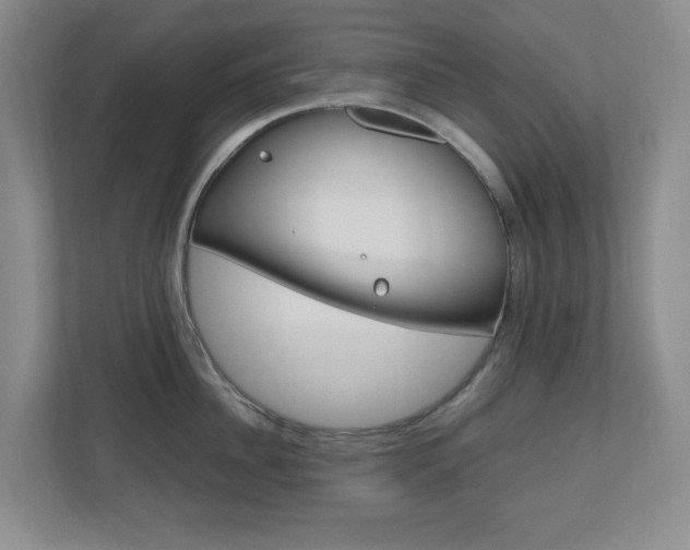 X0000110990956200906191108