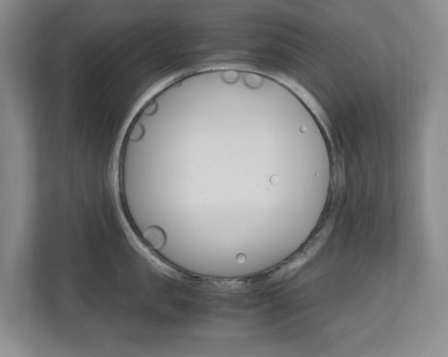 X0000110990957200906191108