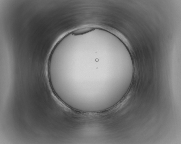 X0000110990958200906191108
