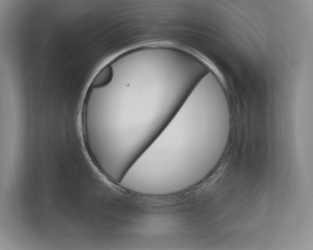 X0000110990959200906191108