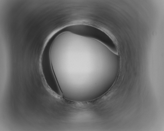 X0000110990960200906191108