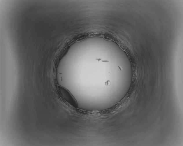 X0000110990961200906191107