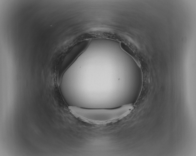 X0000110990965200906191107