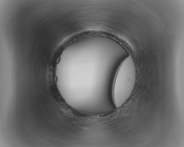 X0000110990968200906191107