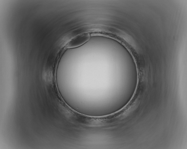 X0000110990969200906191107