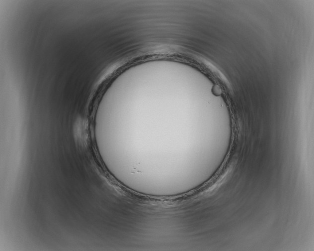 X0000110990970200906191107