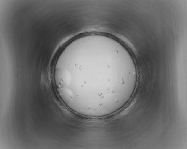 X0000110990974200906191107
