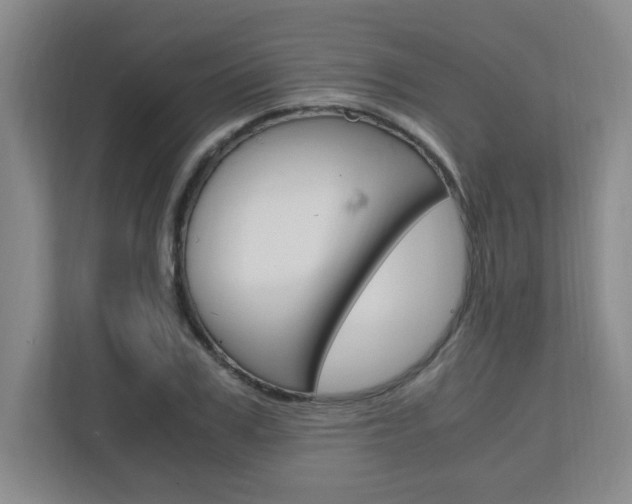 X0000110990979200906191107