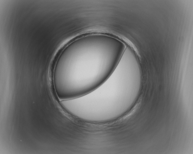 X0000110990981200906191107