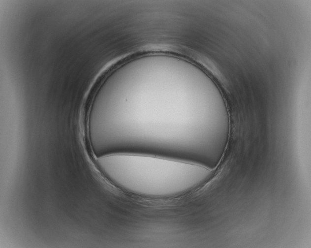 X0000110990984200906191107