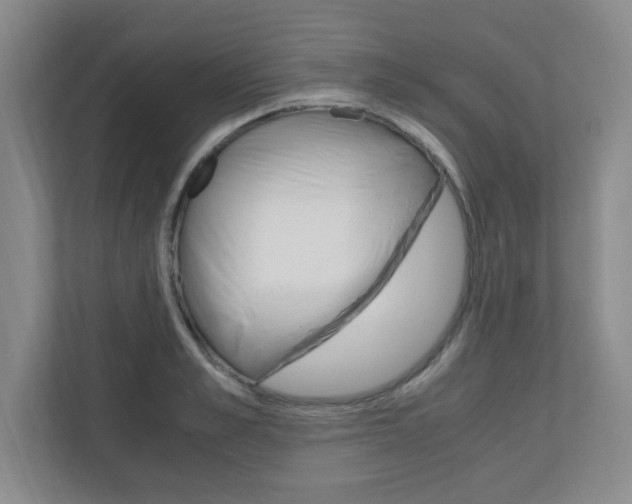 X0000110990989200906191107