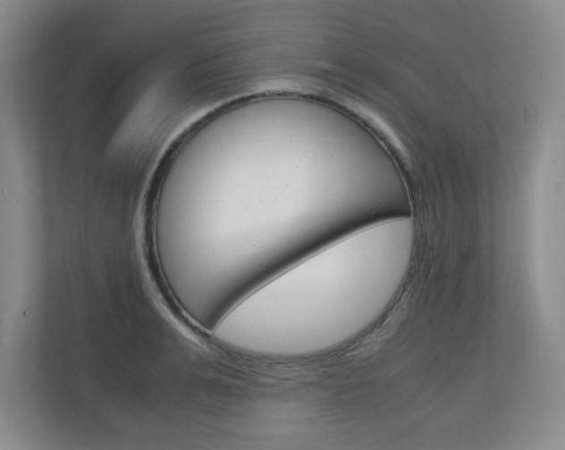 X0000110990991200906191107
