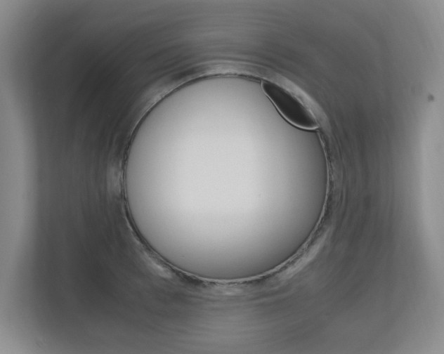 X0000110990993200906191107
