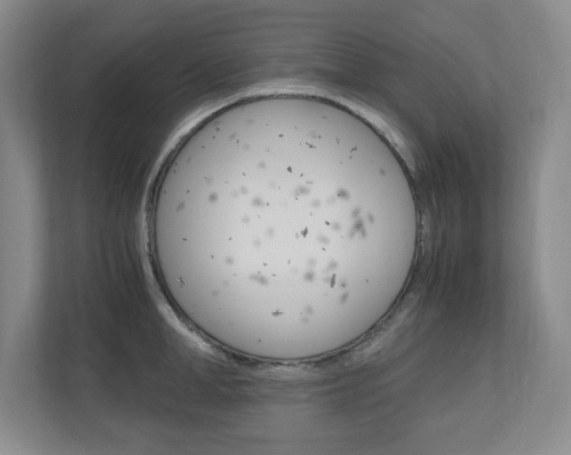 X0000110990998200906191106