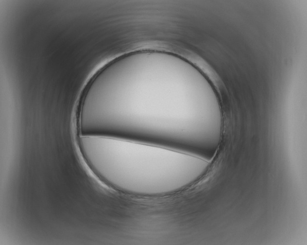 X0000110990999200906191106
