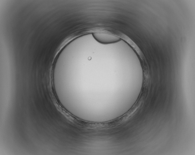 X0000110991002200906191106