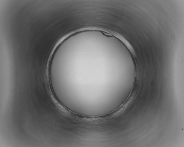 X0000110991004200906191106