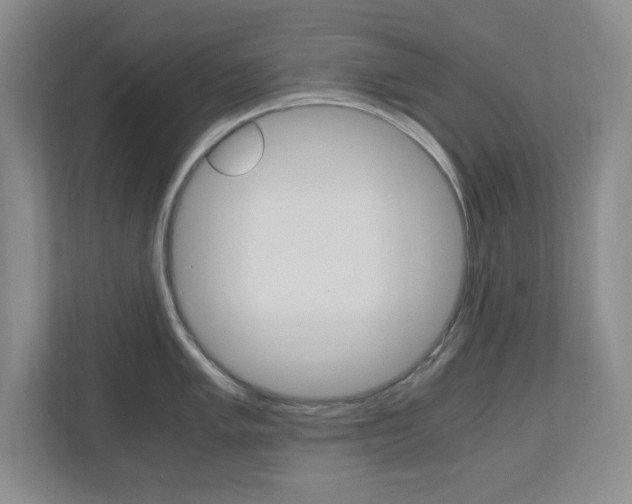 X0000110991005200906191106