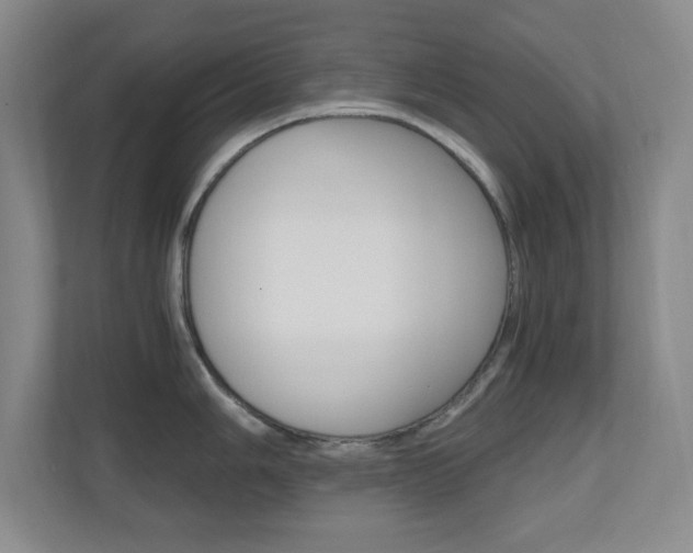 X0000110991006200906191106