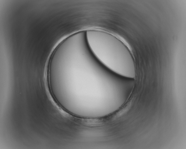 X0000110991007200906191106