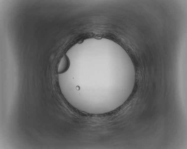 X0000110991009200906191106
