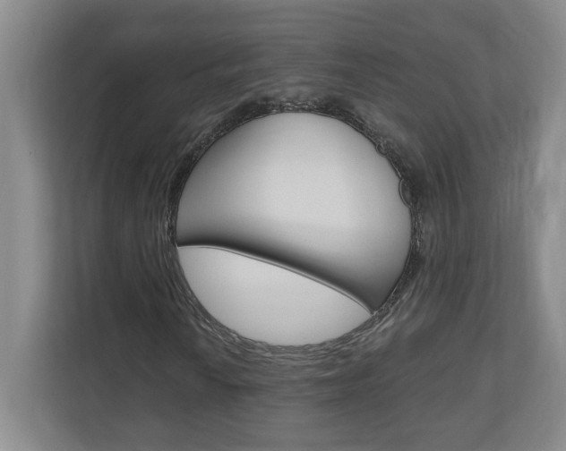 X0000110991010200906191106