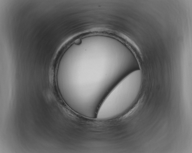 X0000110991021200906191106