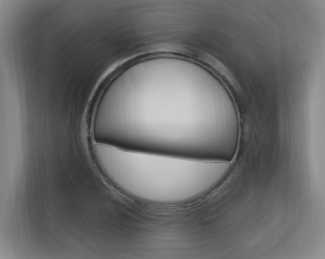 X0000110991024200906191106