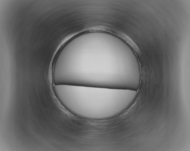 X0000110991036200906191106