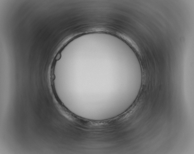 X0000110991039200906191106