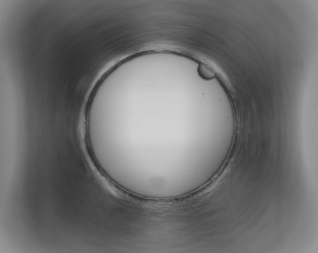 X0000110991040200906191106