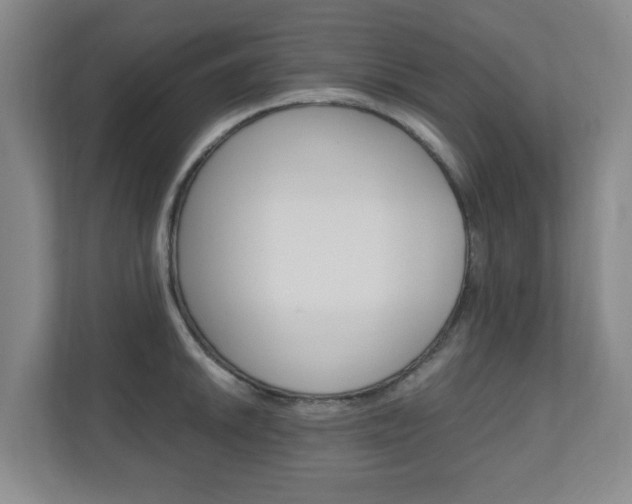 X0000110991046200906191106