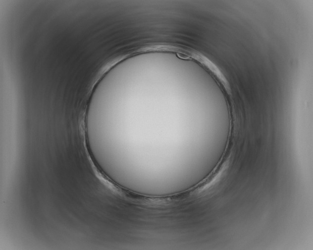 X0000110991049200906191106