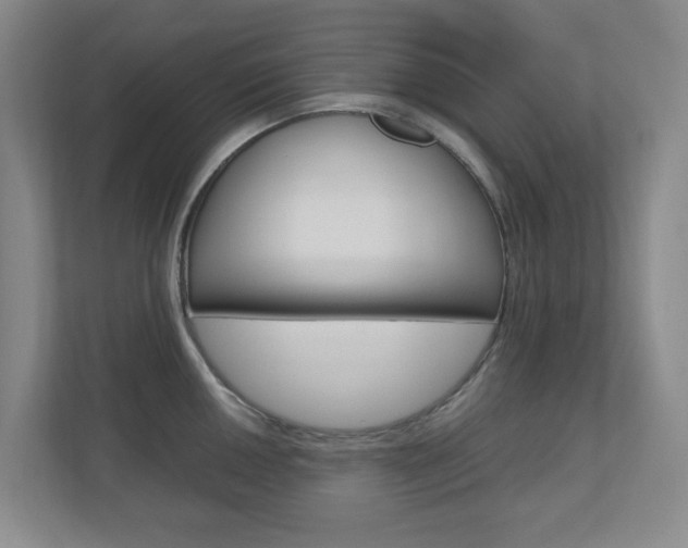 X0000110991050200906191106