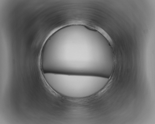 X0000110991052200906191106