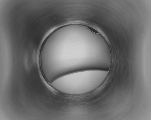 X0000110991054200906191106