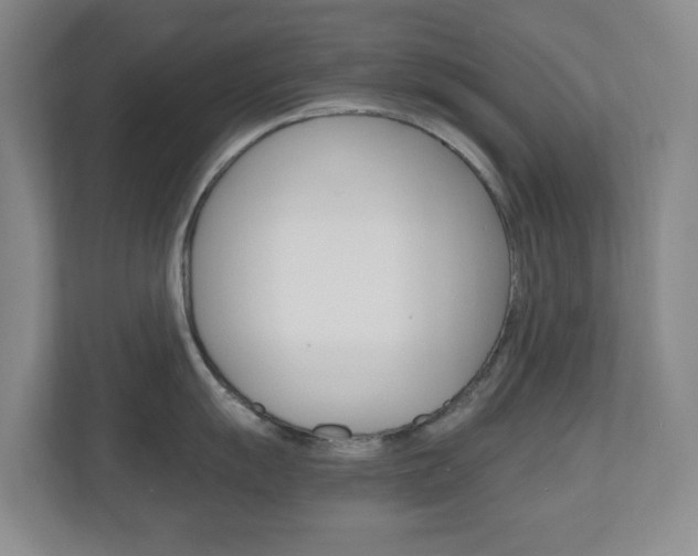 X0000110991055200906191106