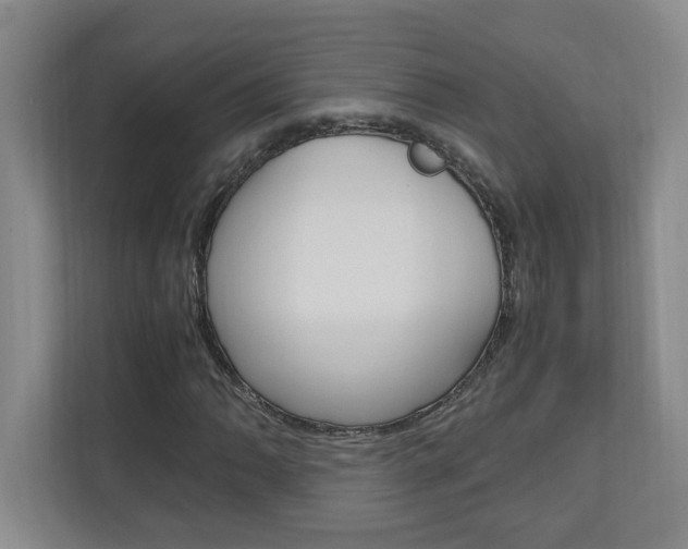 X0000110991062200906191106