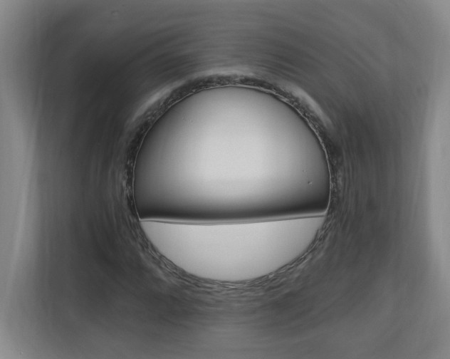 X0000110991064200906191106