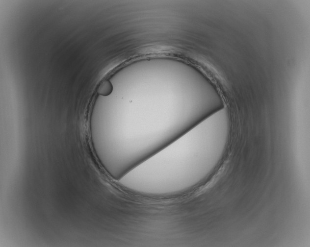 X0000110991073200906191106