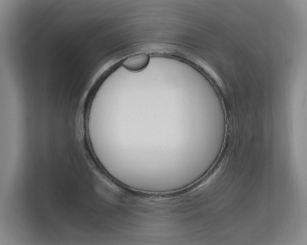 X0000110991075200906191105