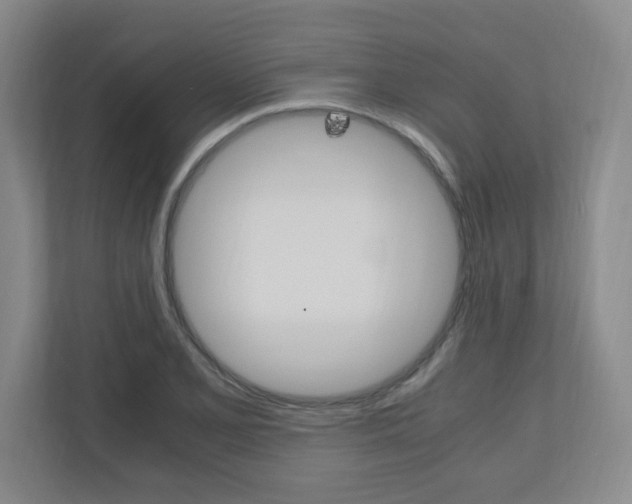 X0000110991077200906191105