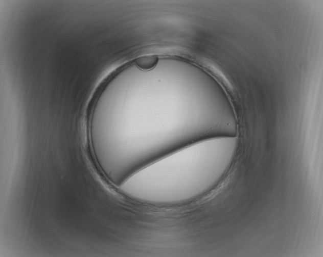 X0000110991079200906191105