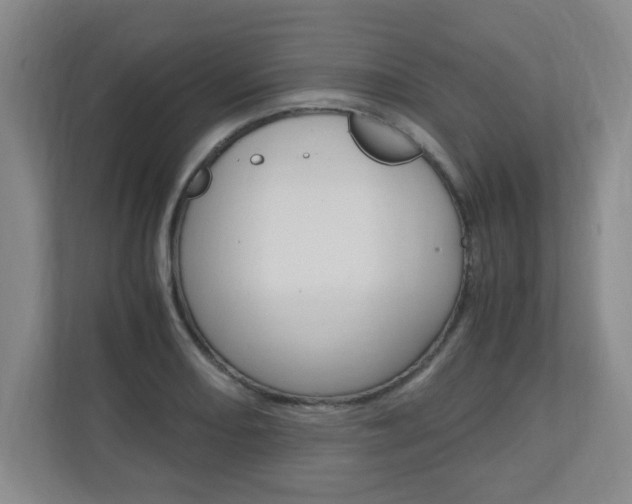 X0000110991082200906191105