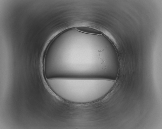 X0000110991088200906191105