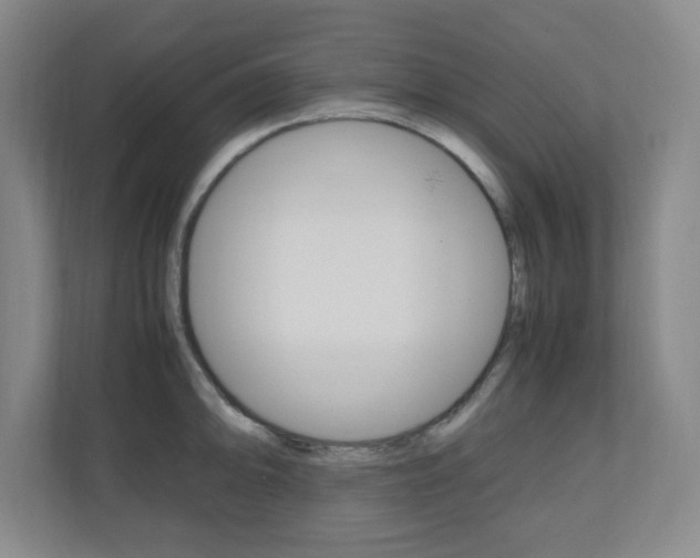 X0000110991094200906191105