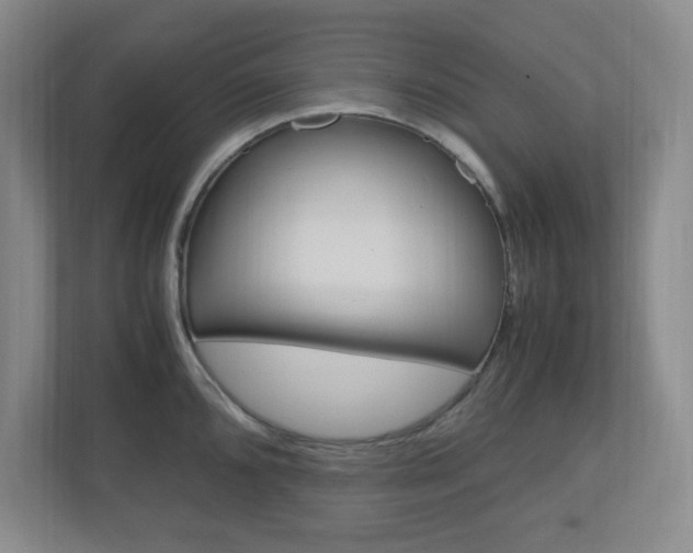 X0000110991096200906191105
