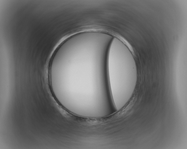X0000110991099200906191105
