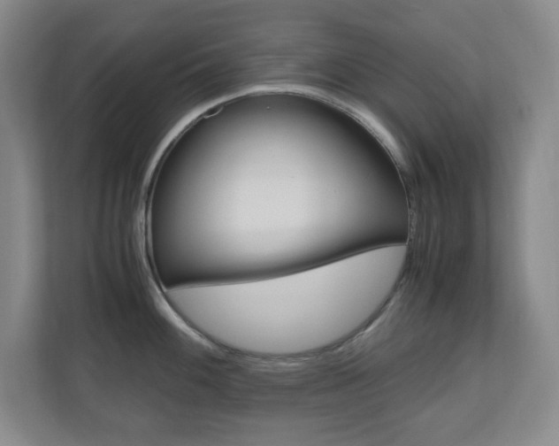 X0000110991100200906191105
