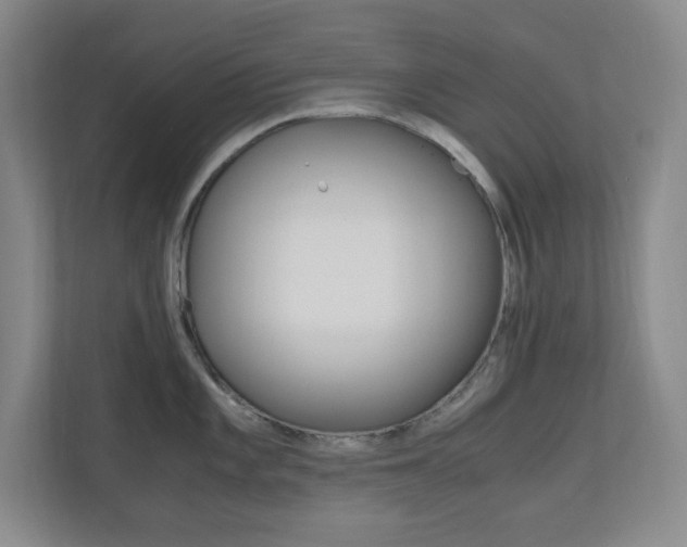 X0000110991101200906191105